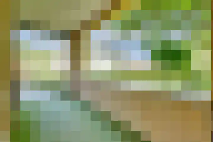 Holleweg 5 a Amerongen thumbnail 4
