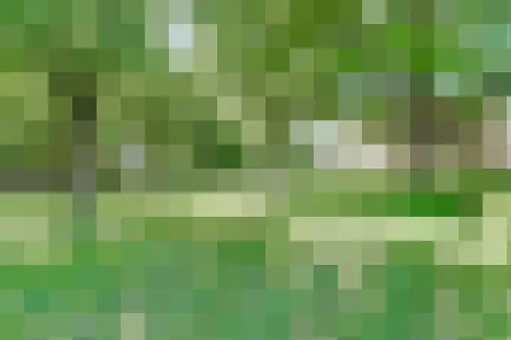 Holleweg 5 a Amerongen thumbnail 43