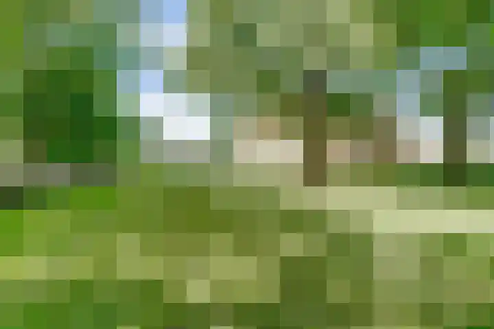 Holleweg 5 a Amerongen thumbnail 45