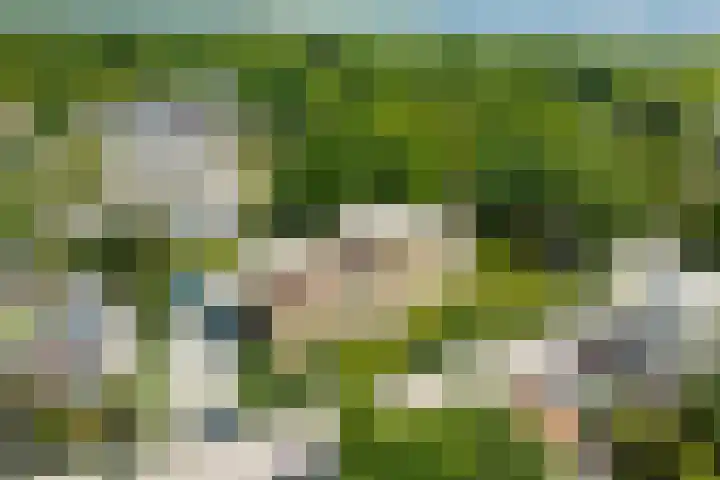 Holleweg 5 a Amerongen thumbnail 47