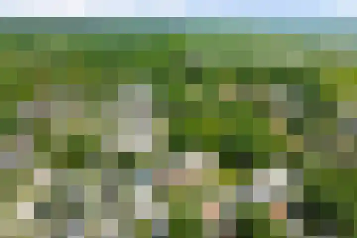 Holleweg 5 a Amerongen thumbnail 51