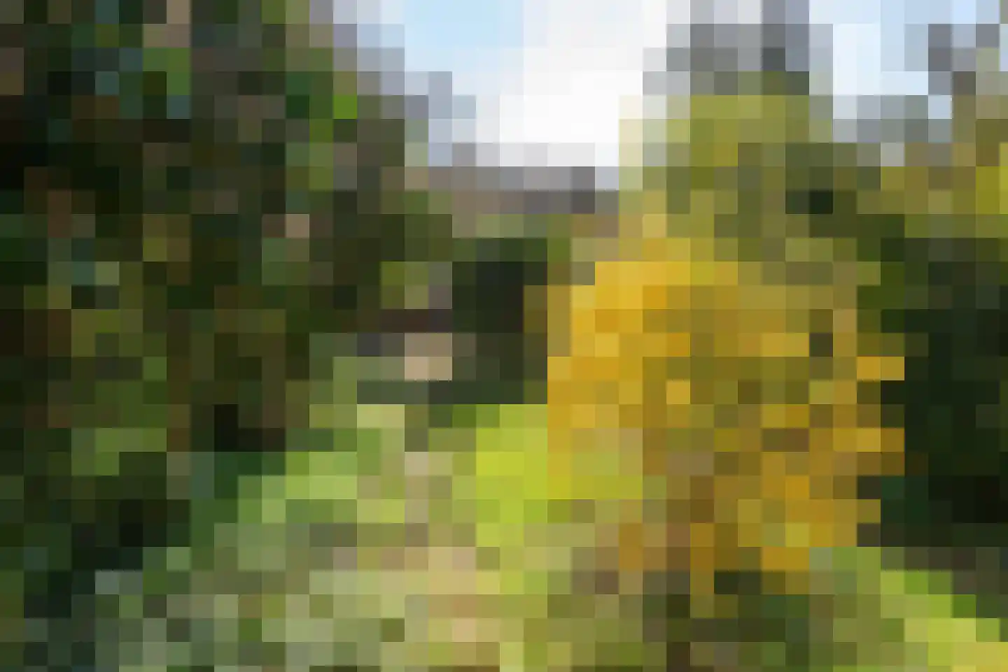 Holleweg 68 Heiloo thumbnail 25