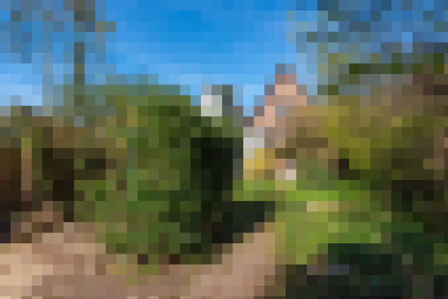 Holleweg 68 Heiloo thumbnail 27