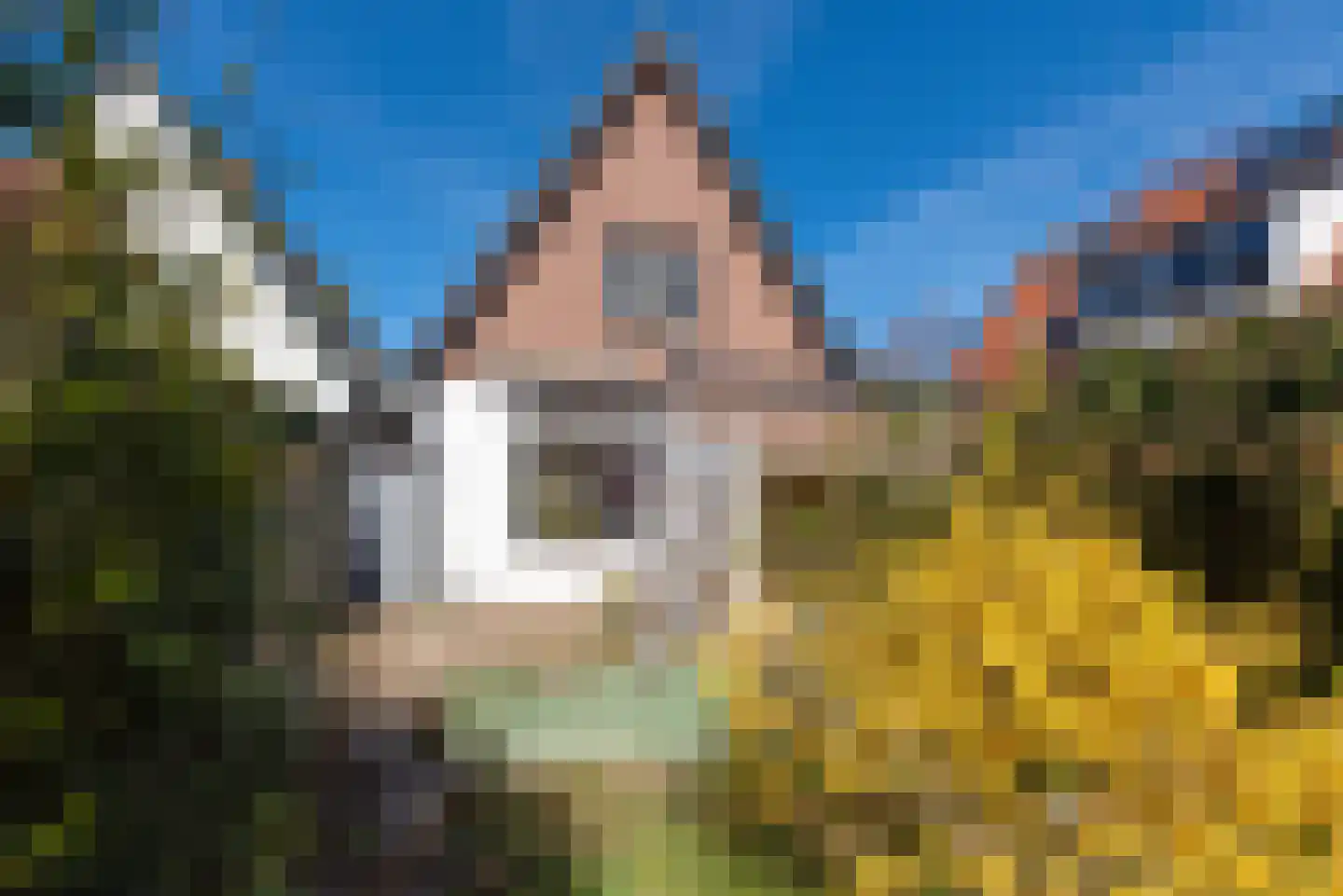 Holleweg 68 Heiloo thumbnail 29