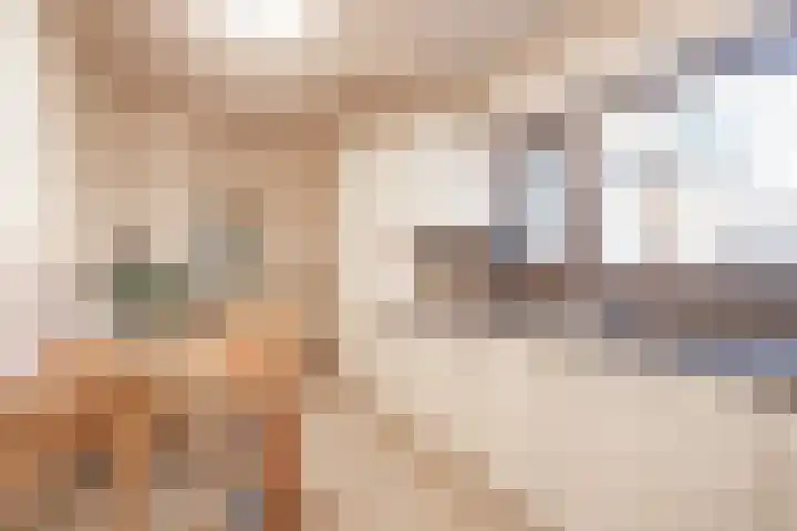 Holleweg 7 Herten thumbnail 13