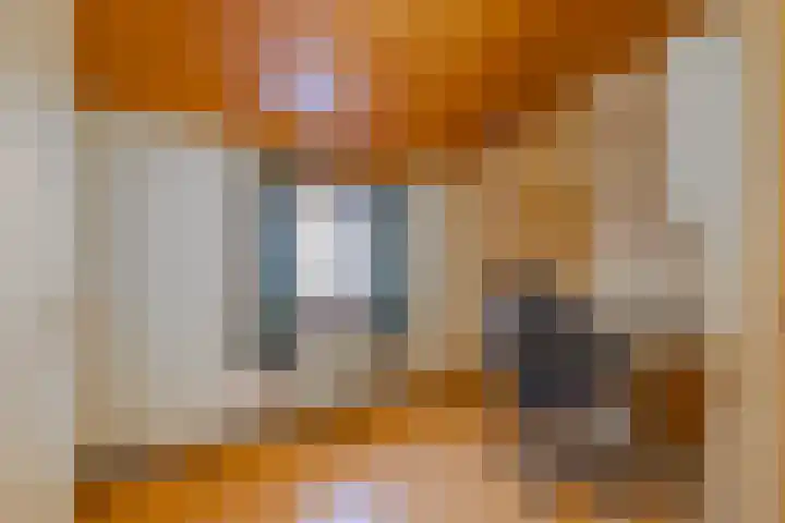 Holleweg 7 Herten thumbnail 23