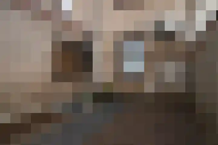 Holleweg 7 Herten thumbnail 28