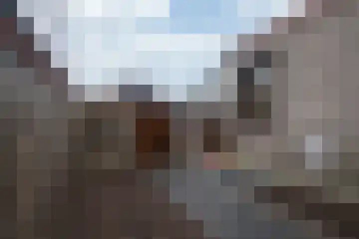 Holleweg 7 Herten thumbnail 29