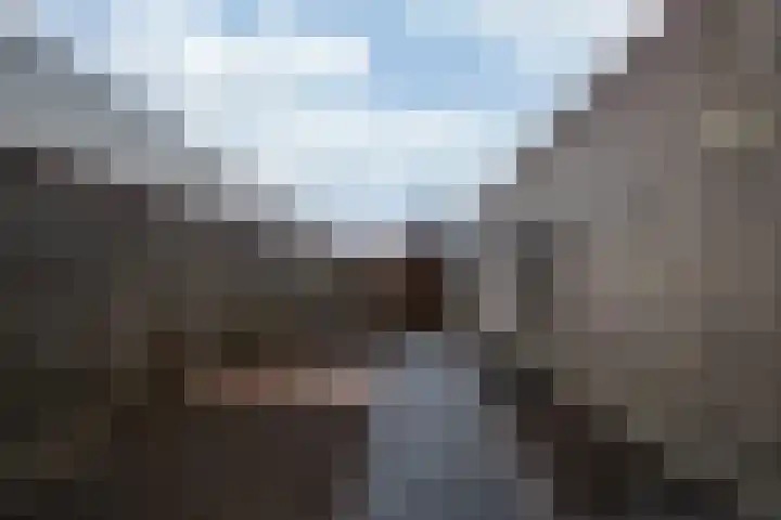 Holleweg 7 Herten thumbnail 30