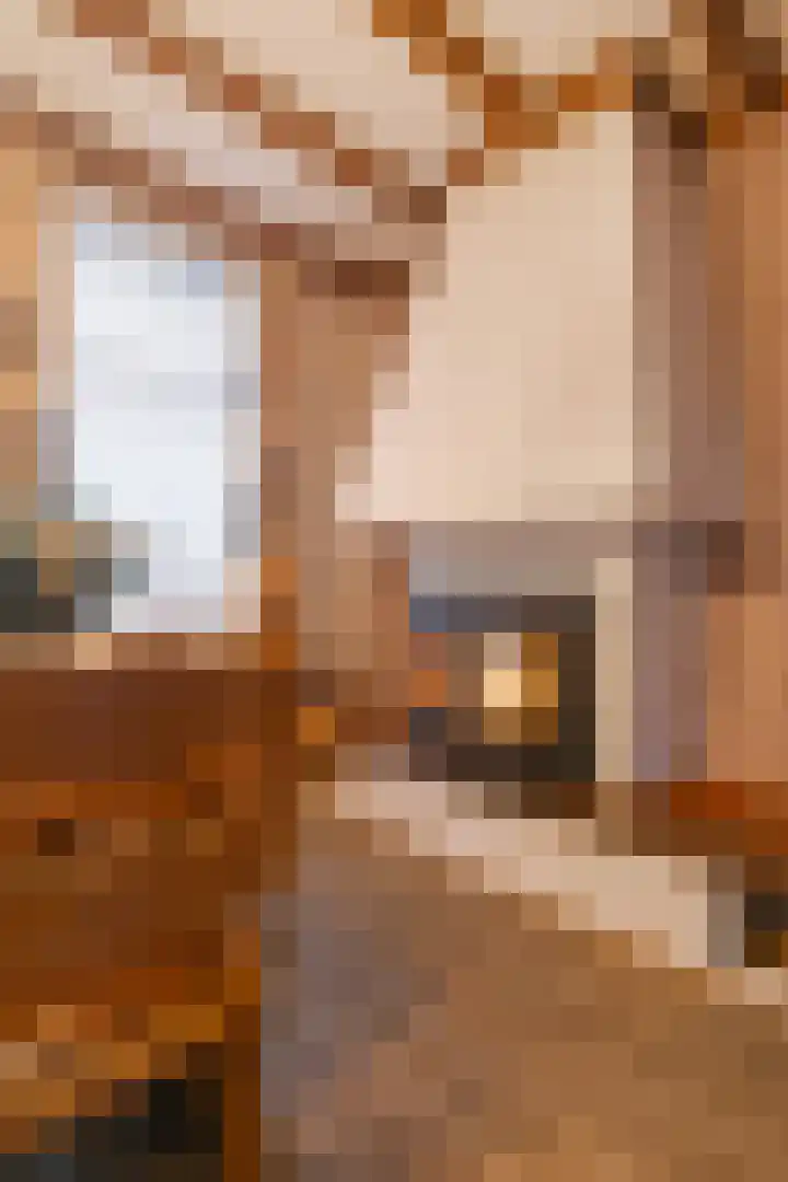 Holleweg 7 Herten thumbnail 6