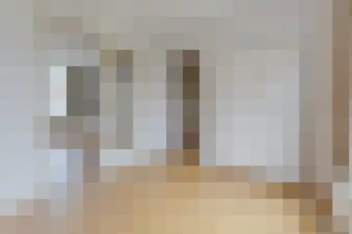 Holleweg 74 Heiloo thumbnail 7
