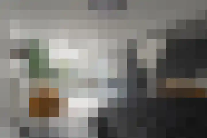 Holleweg 9 Herten thumbnail 13