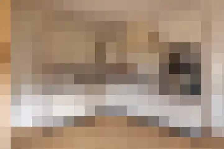 Hollewei 13 Bakhuizen thumbnail 12