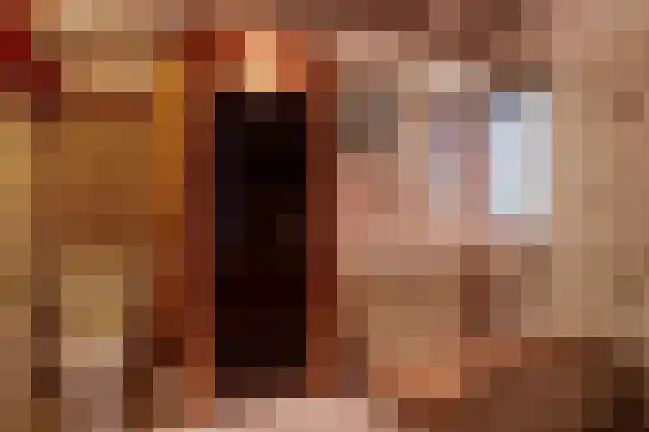 Hollewei 13 Bakhuizen thumbnail 18