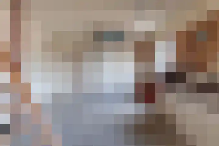 Hollewei 13 Bakhuizen thumbnail 22