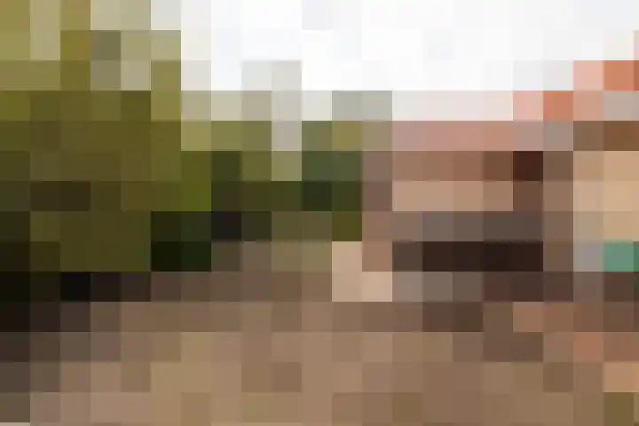 Hollewei 13 Bakhuizen thumbnail 24