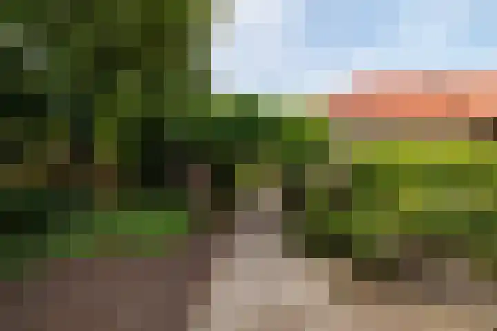 Hollewei 13 Bakhuizen thumbnail 26