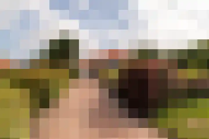 Hollewei 13 Bakhuizen thumbnail 28