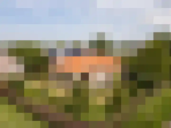 Hollewei 13 Bakhuizen thumbnail 31
