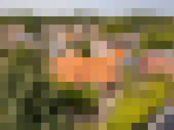 Hollewei 13 Bakhuizen thumbnail 35