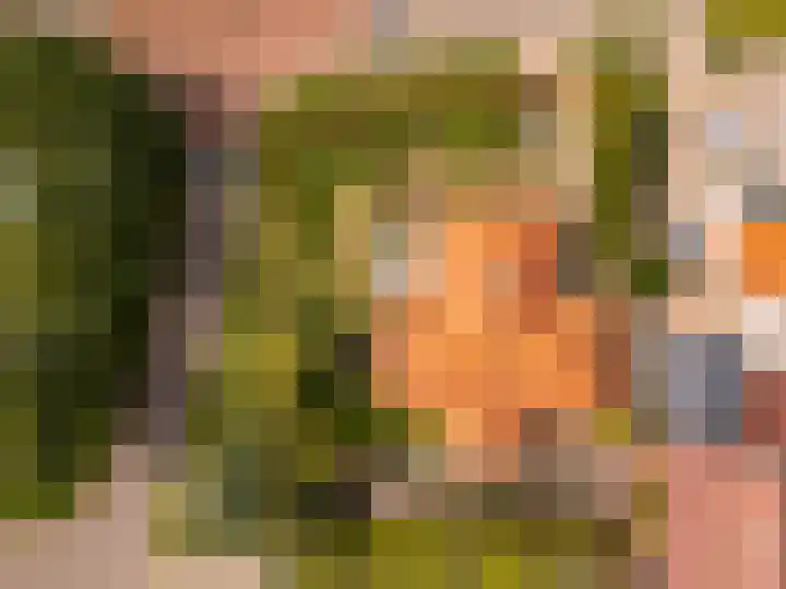 Hollewei 13 Bakhuizen thumbnail 36