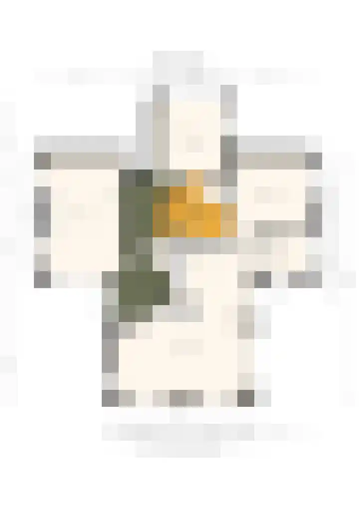 Hollewei 13 Bakhuizen thumbnail 38