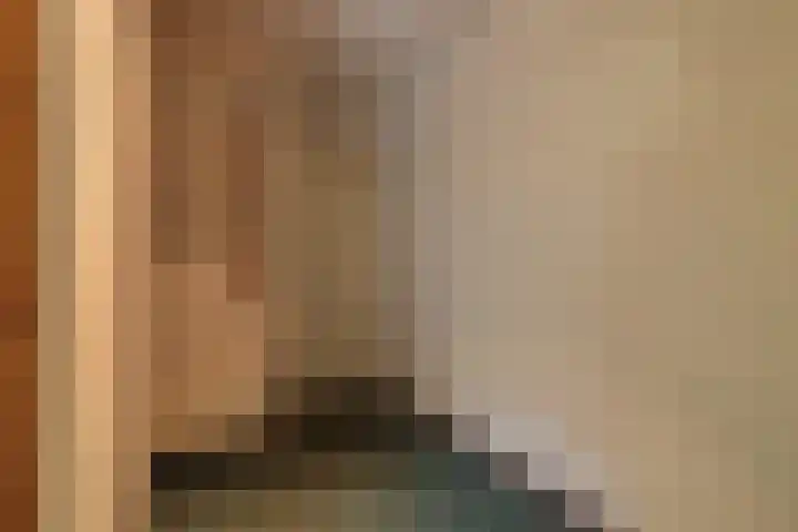 Hollewei 13 Bakhuizen thumbnail 5