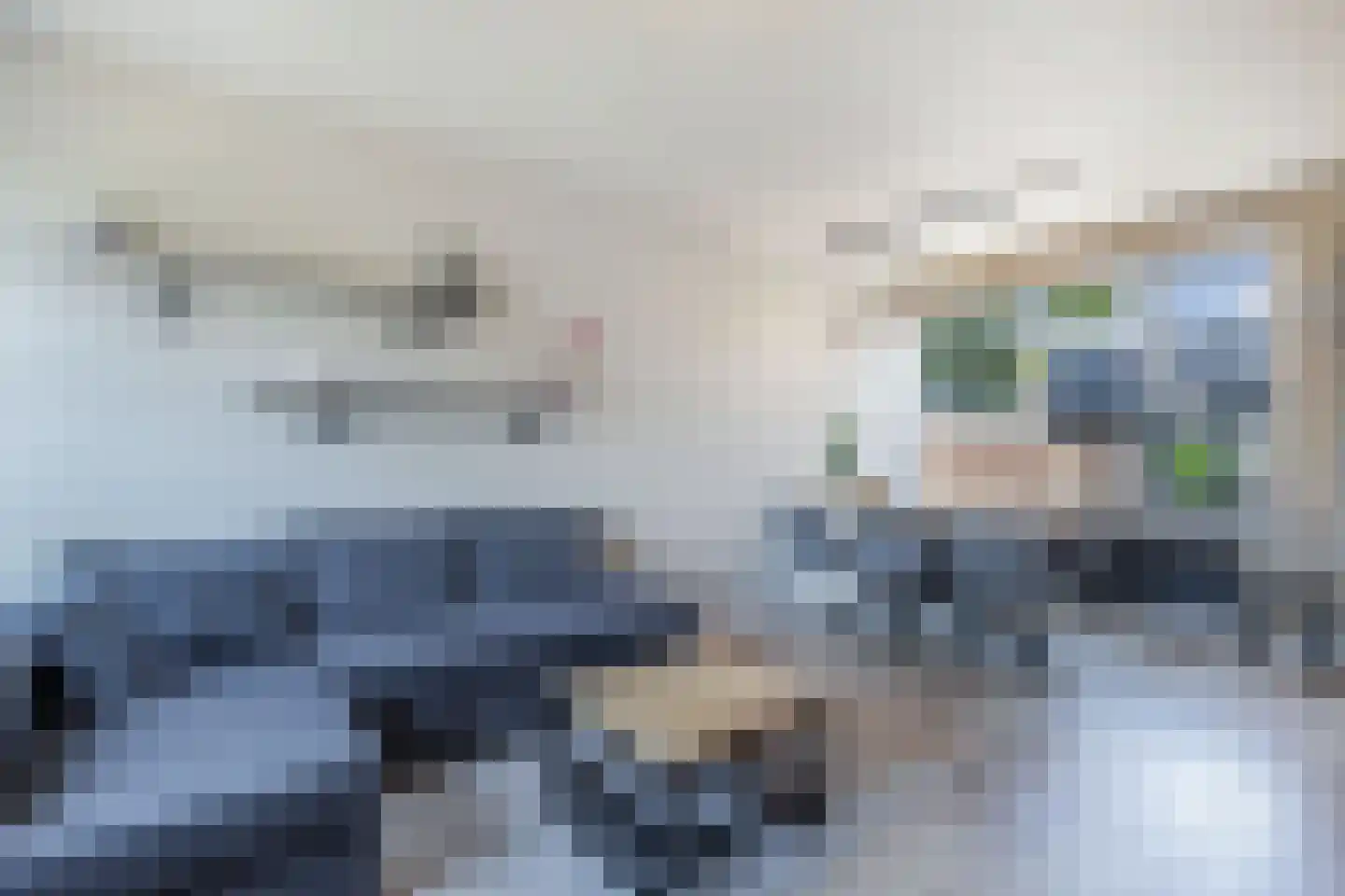 Hollewei 5 Bakhuizen thumbnail 12