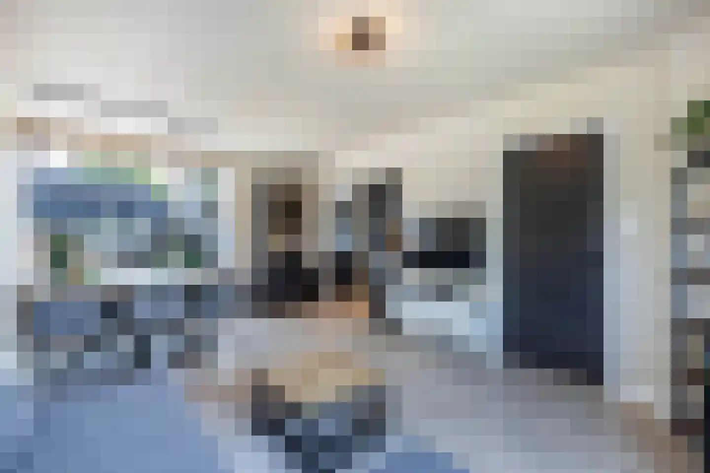 Hollewei 5 Bakhuizen thumbnail 14