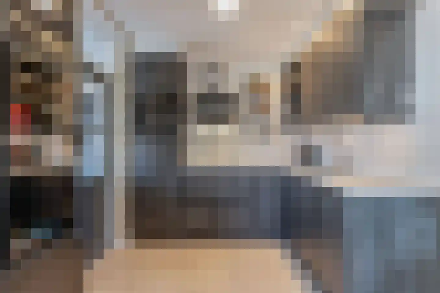 Hollewei 5 Bakhuizen thumbnail 21