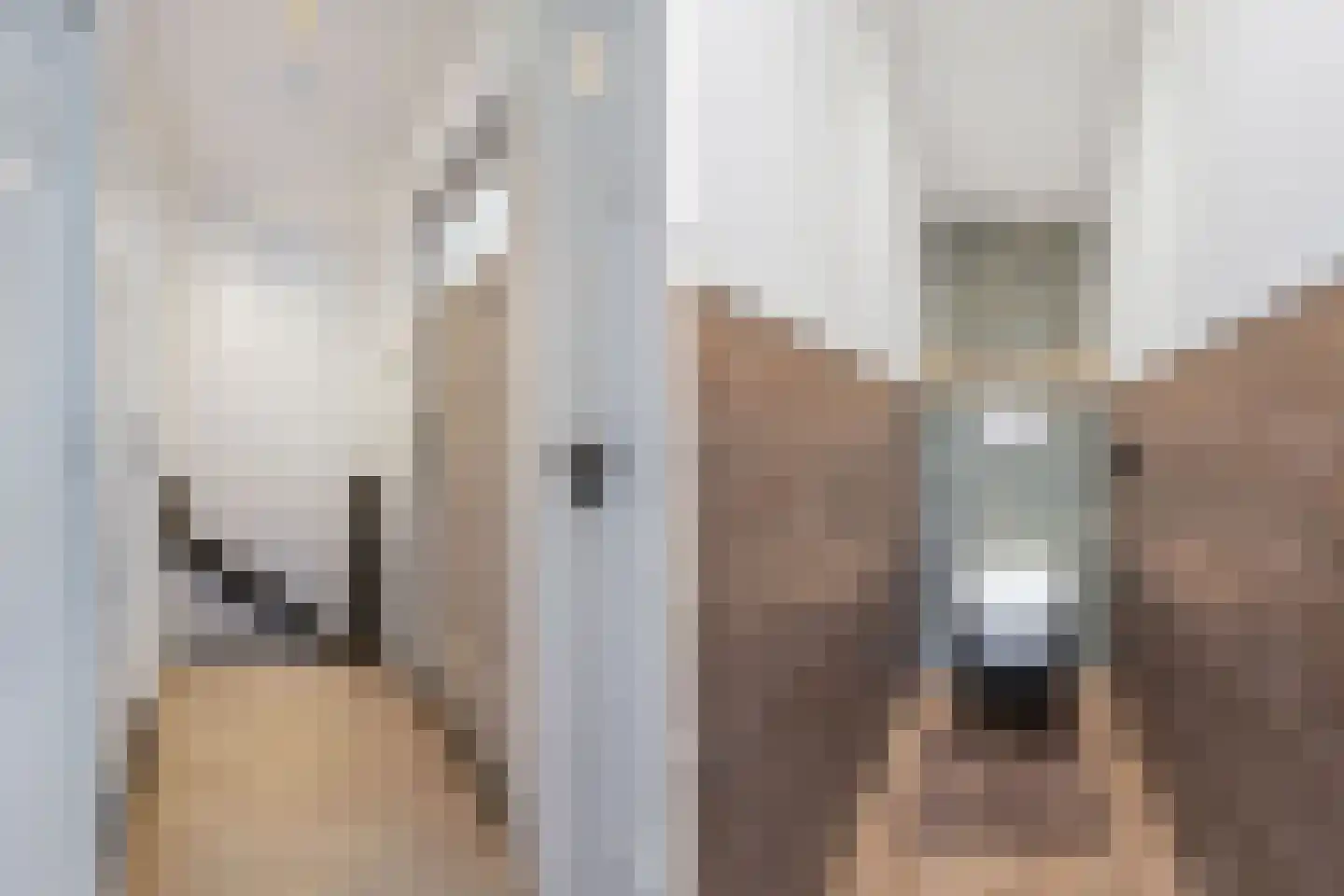 Hollewei 5 Bakhuizen thumbnail 26