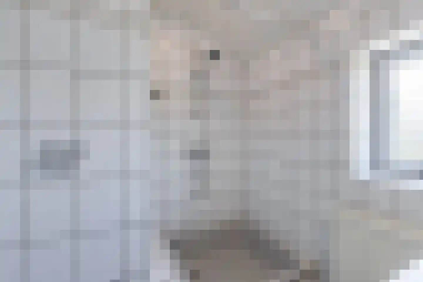 Hollewei 5 Bakhuizen thumbnail 34