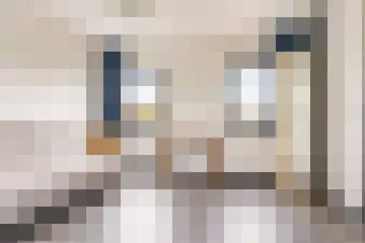 Hollywoodlaan 110 Almere thumbnail 32