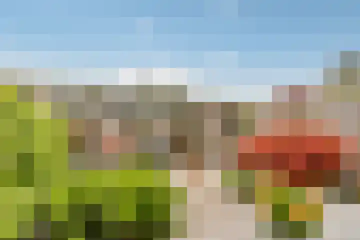 Hollywoodlaan 110 Almere thumbnail 34