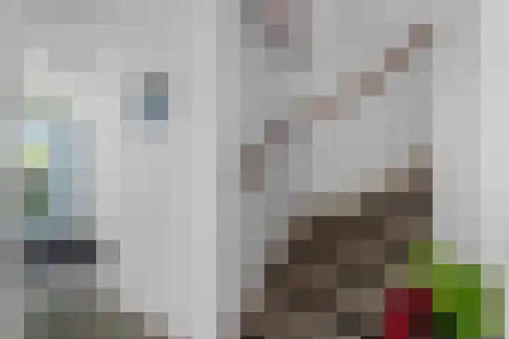 Hollywoodlaan 132 Almere thumbnail 20