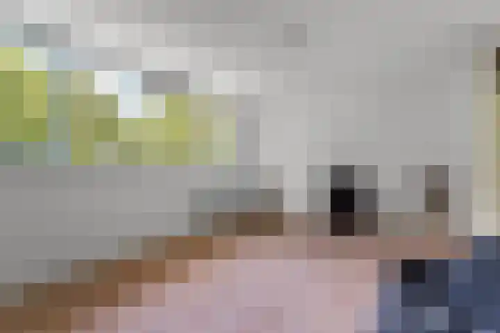 Hollywoodlaan 132 Almere thumbnail 23