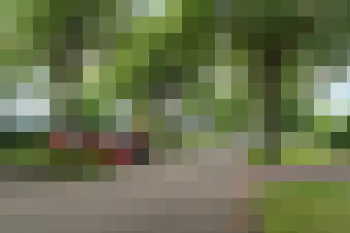 Hollywoodlaan 132 Almere thumbnail 33
