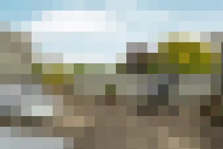 Hollywoodlaan 132 Almere thumbnail 36