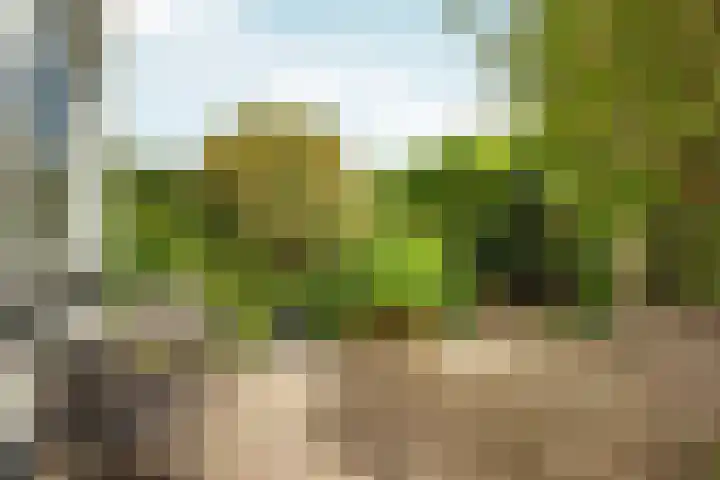 Hollywoodlaan 132 Almere thumbnail 42