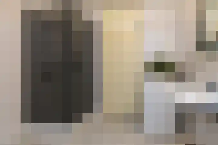 Hollywoodlaan 148 Almere thumbnail 32