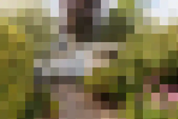 Hollywoodlaan 148 Almere thumbnail 41