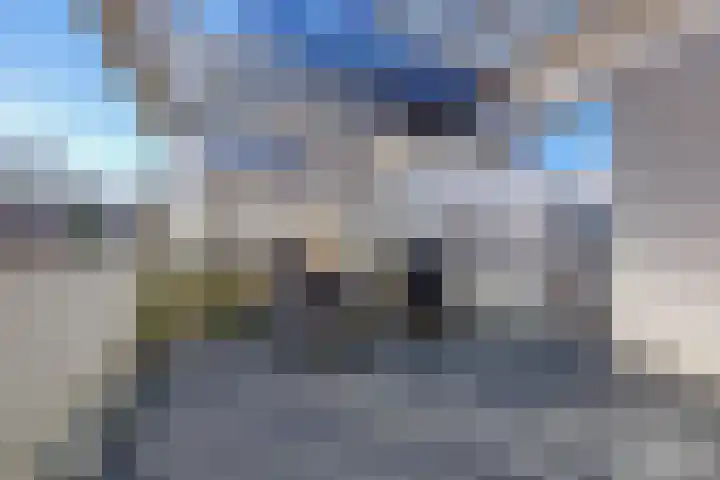 Hollywoodlaan 33 Almere thumbnail 35