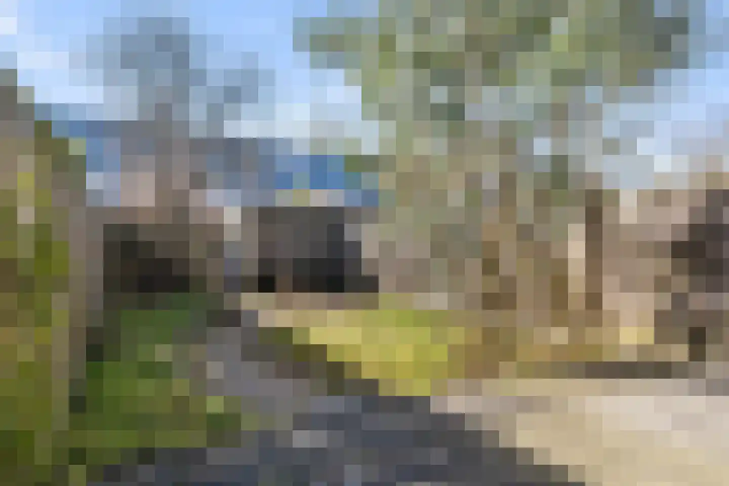 Hollywoodlaan 48 Almere thumbnail 17