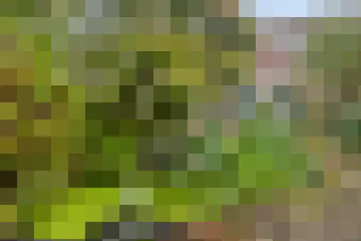 Hollywoodlaan 86 Almere thumbnail 22