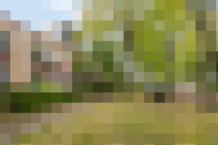 Hollywoodlaan 86 Almere thumbnail 27