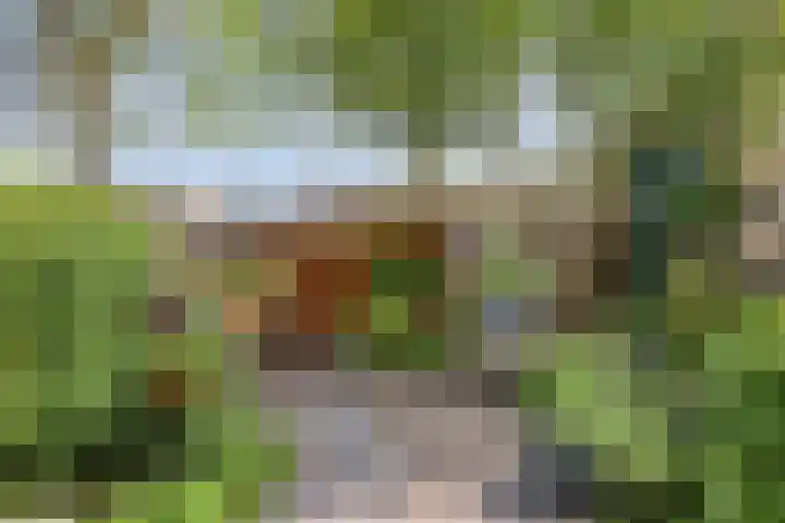 Hollywoodlaan 92 Almere thumbnail 32