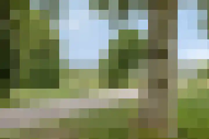 Hollywoodlaan 92 Almere thumbnail 35