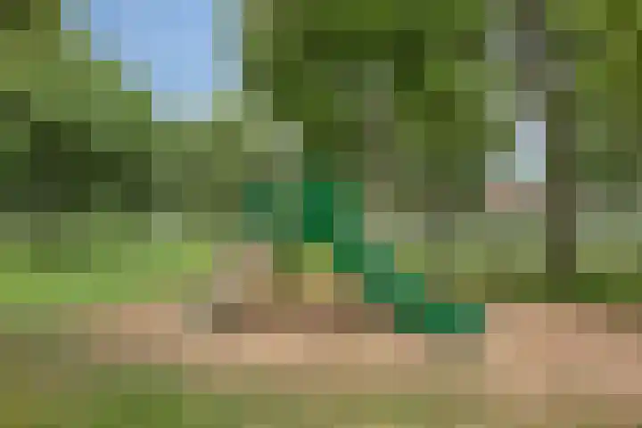 Hollywoodlaan 92 Almere thumbnail 36