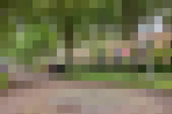 Hollywoodlaan 92 Almere thumbnail 5