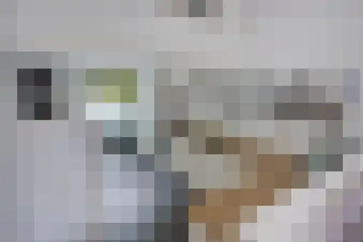 Hollywoodlaan 98 Almere thumbnail 13